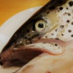スピール膏(サリチル酸)の使い方 魚の目の芯・タコの取り方