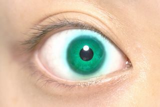 コンタクト エピナスチン 点眼 コンタクトレンズ装着時に使える目薬（防腐剤などの特徴）